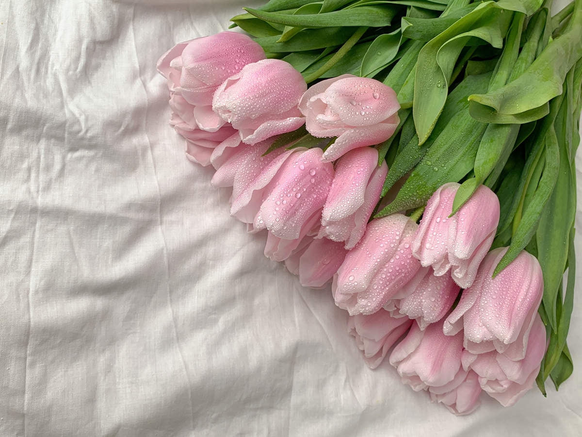 Привлекательная система бонусов